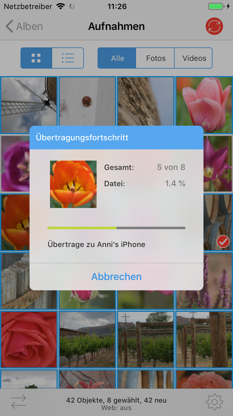 Fortschrittsanzeige auf einem iPhone